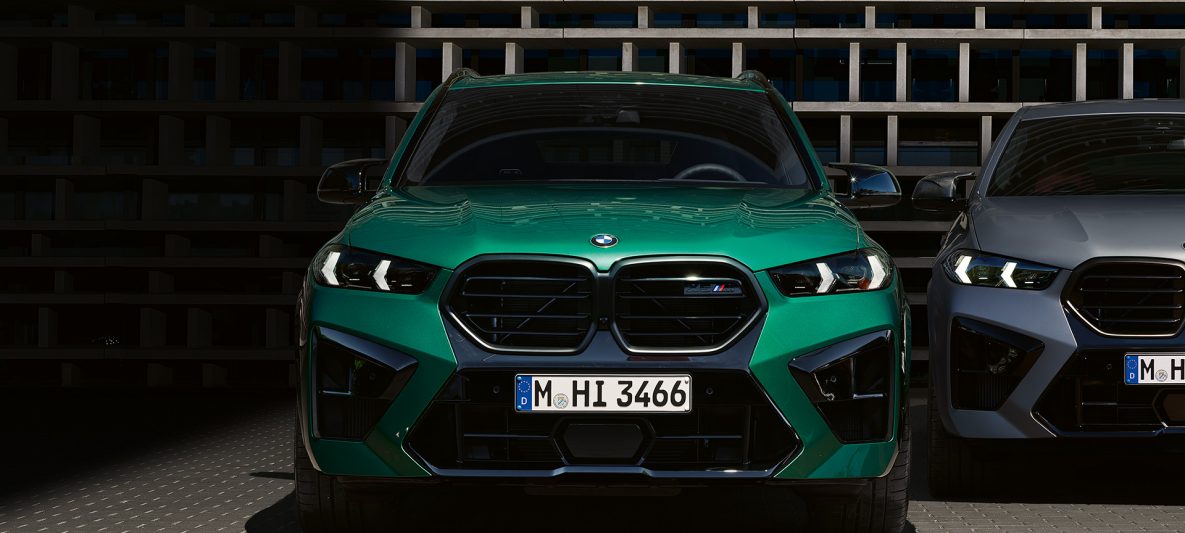 BMW X5 M Competition F95 2023 BMW Niere